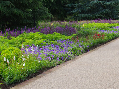 Kew Royal Botanic Gardens - Broad Walk Project 3