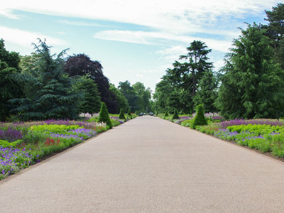 Kew Royal Botanic Gardens - Broad Walk Project 3